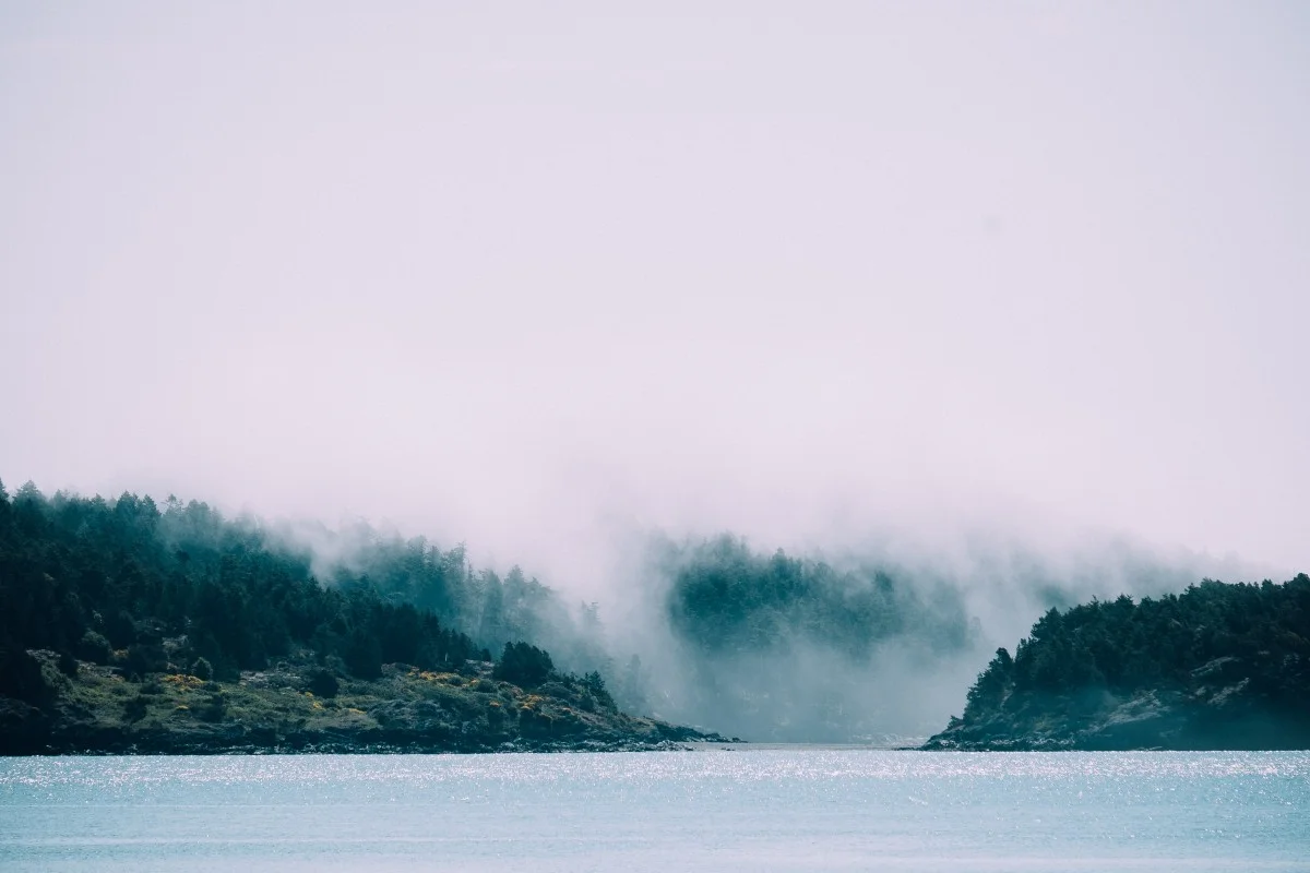 coast_shore_water_sea_ocean_fog_clouds_mist-714574.jpg!d.jpeg