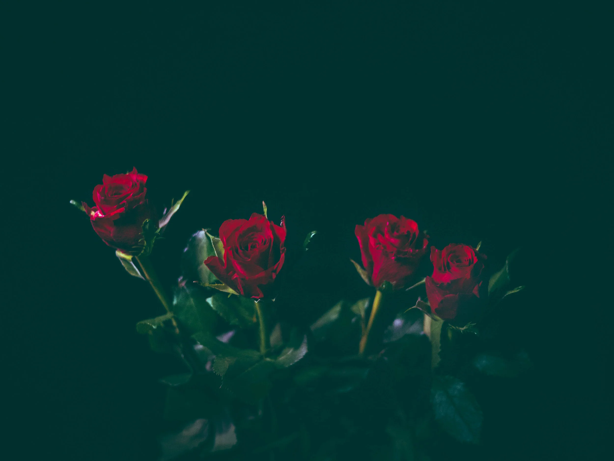 What's L O V E Got to Do With It?