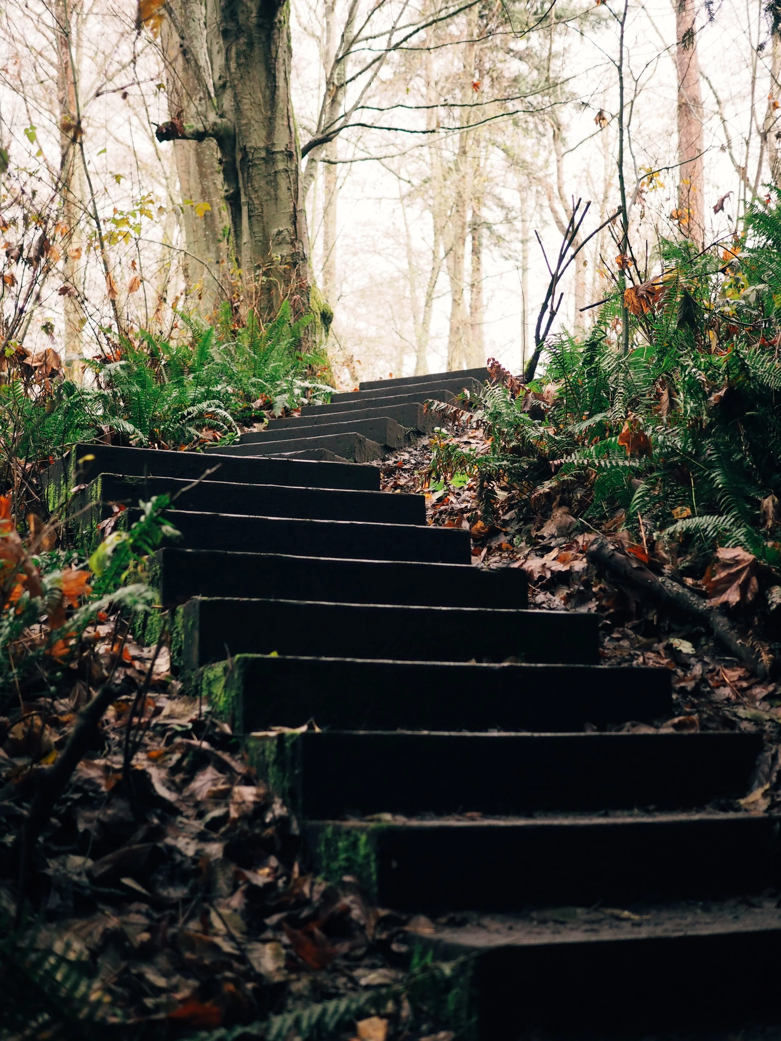 How to Deal Mindfully with Rejected Expectations, Resentment, & Confusion.