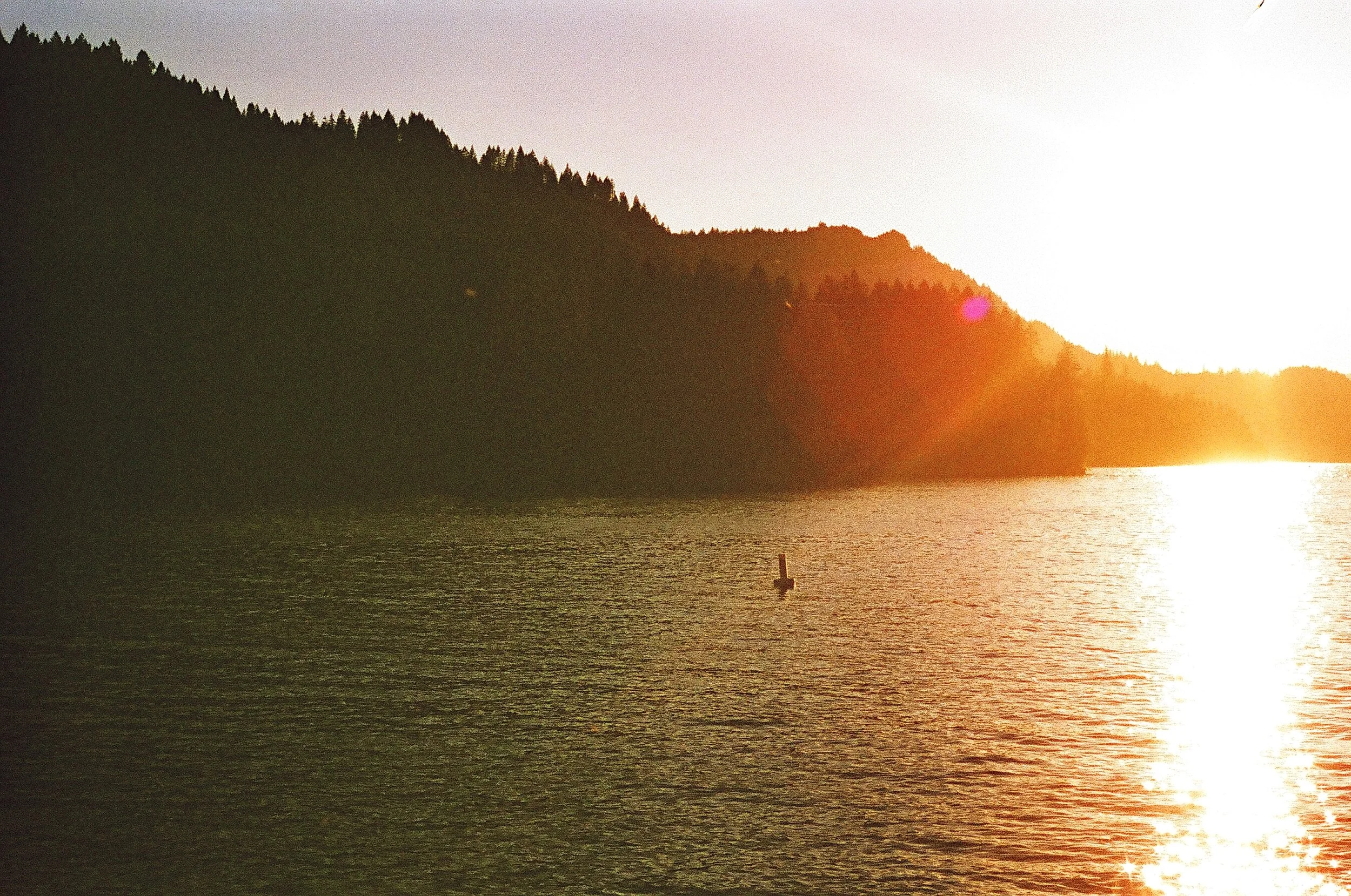 Access Granted: Using Your Imagination & Belief to Create a New Reality.