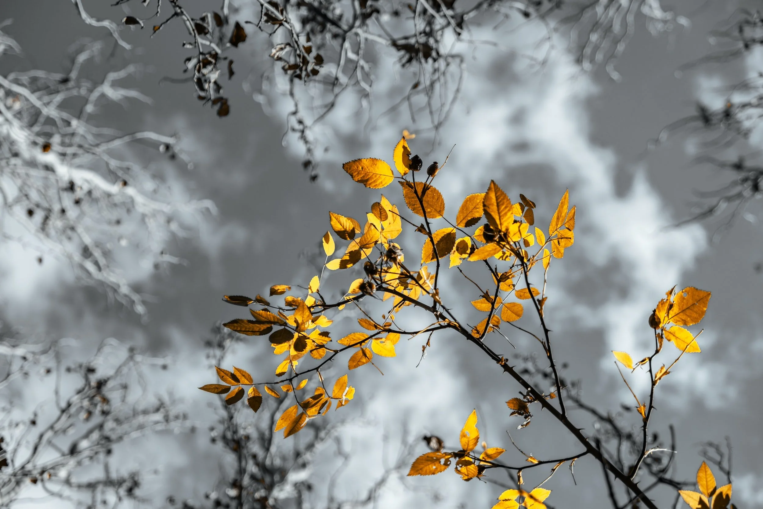 Mostly Falling