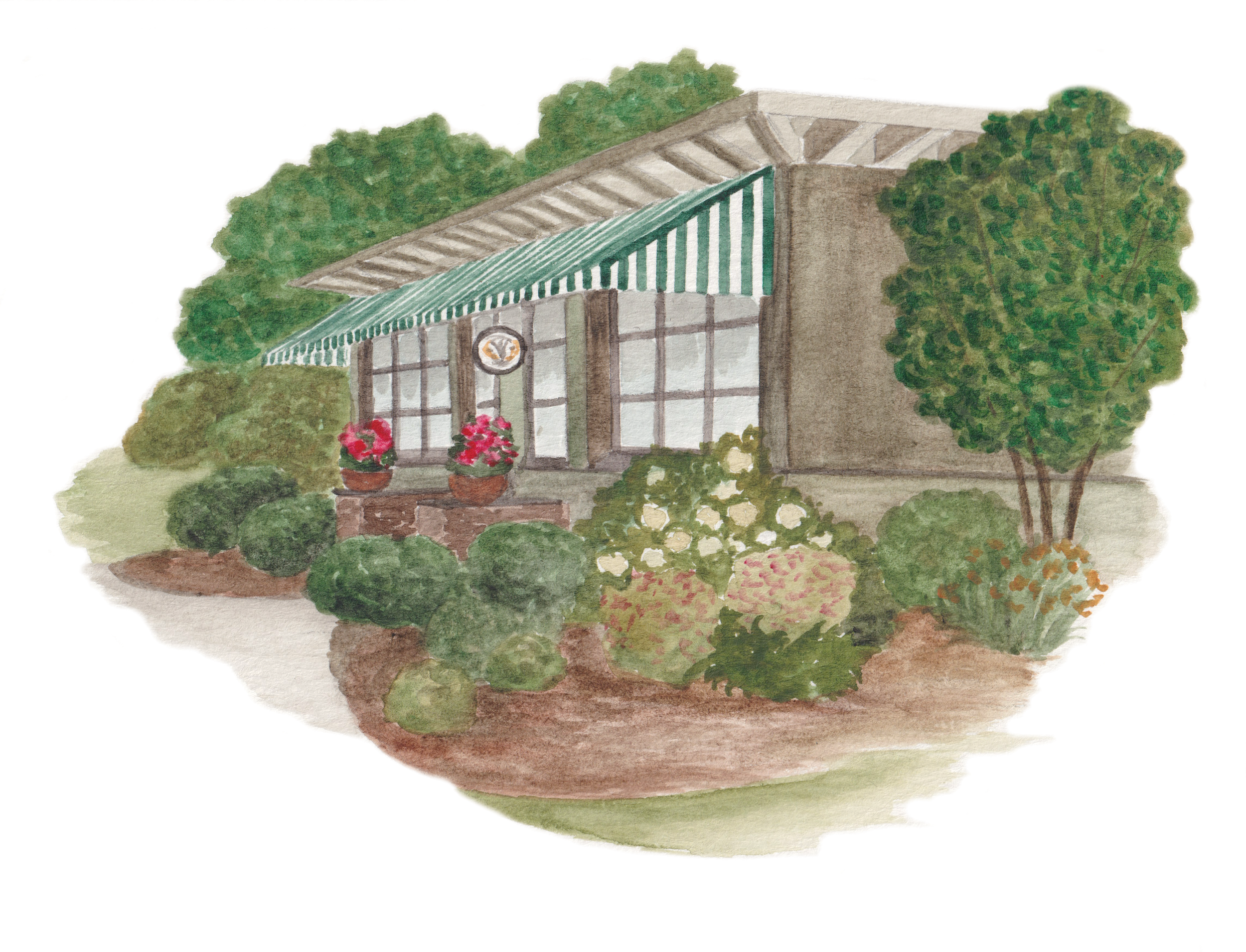 Bloys_Tennis (1).png