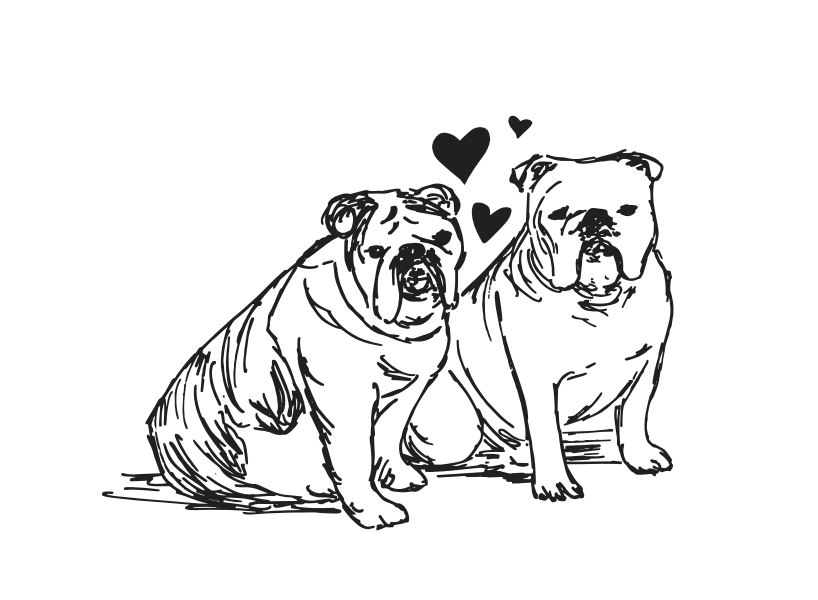 Screenshot 2026-03-25 at 11.52.12 AM.png