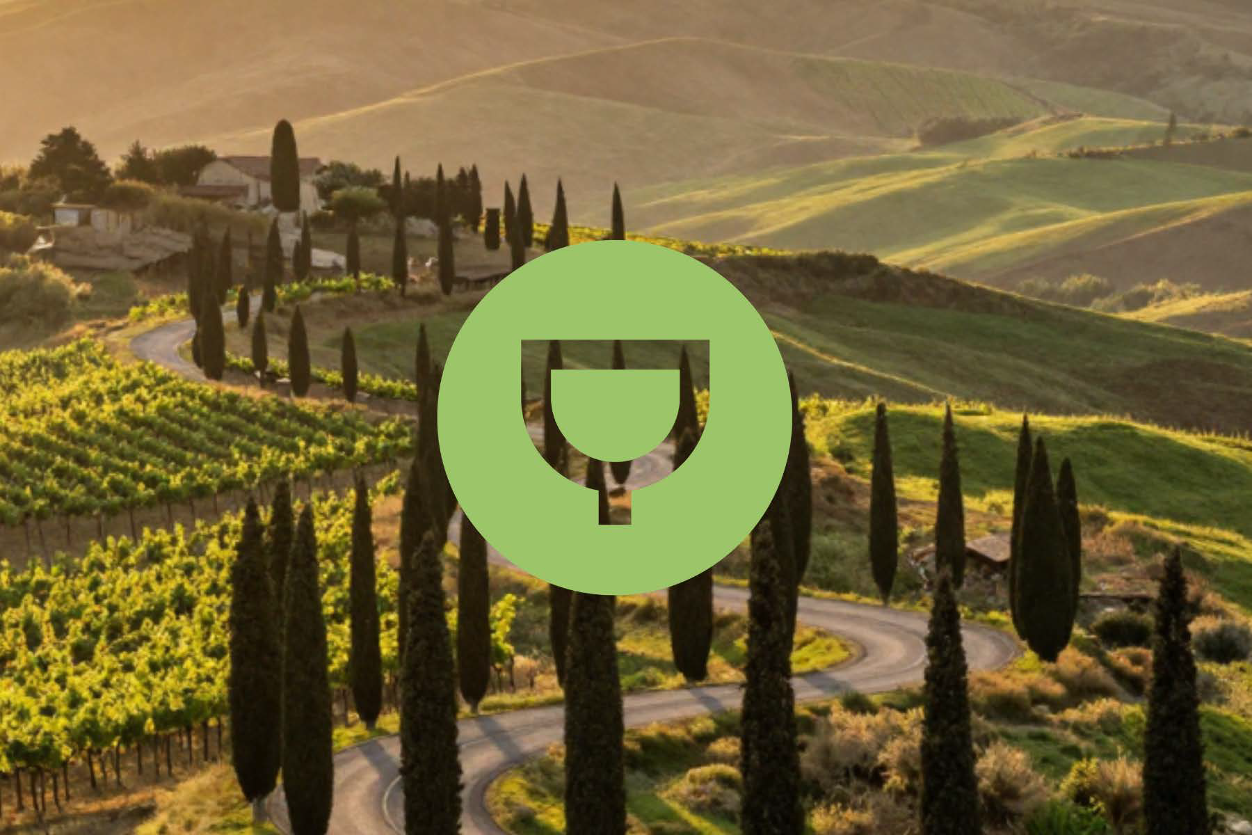 Welcome to The Wine Edit