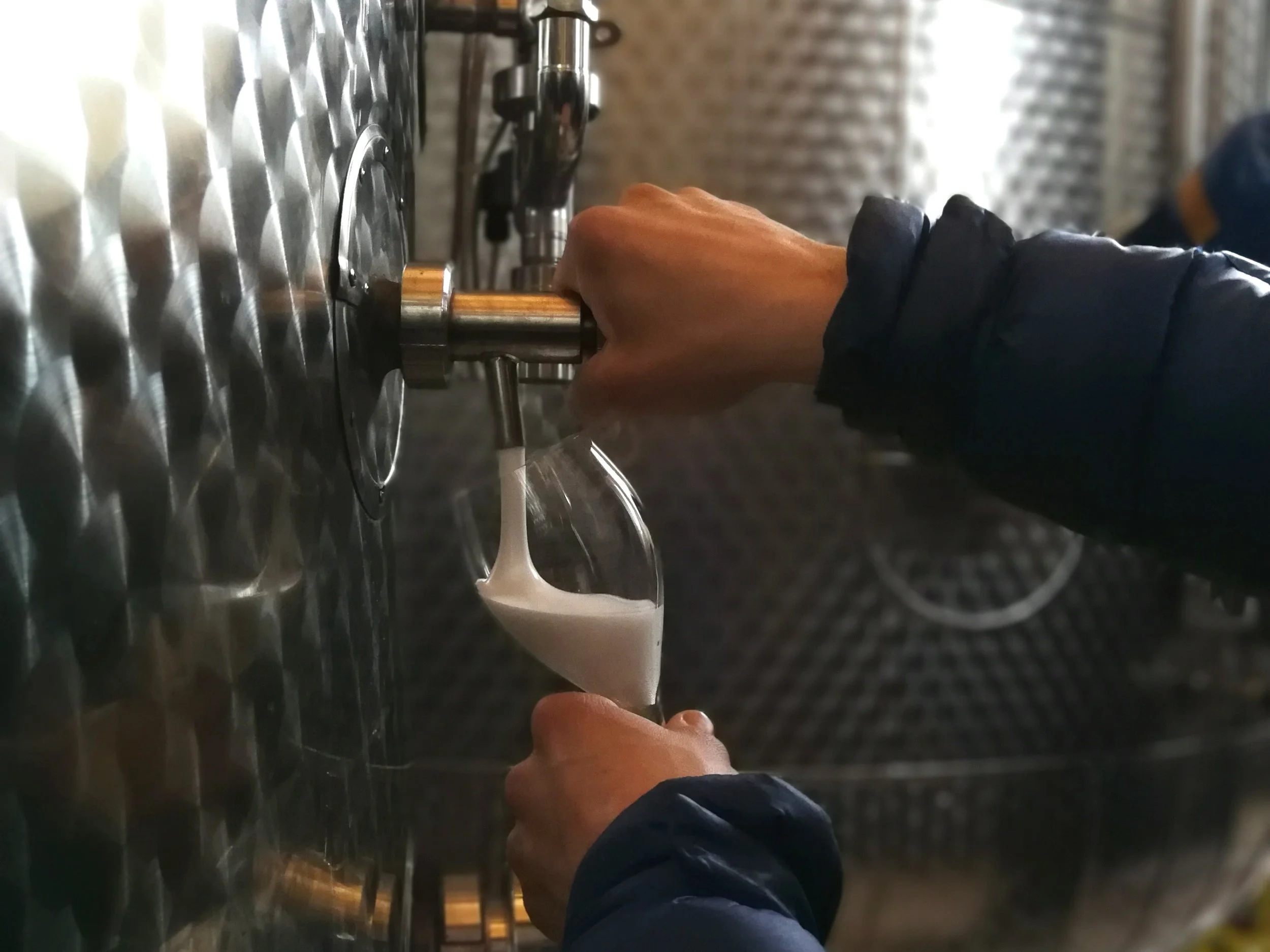 Marsuret_Winery 05.jpg