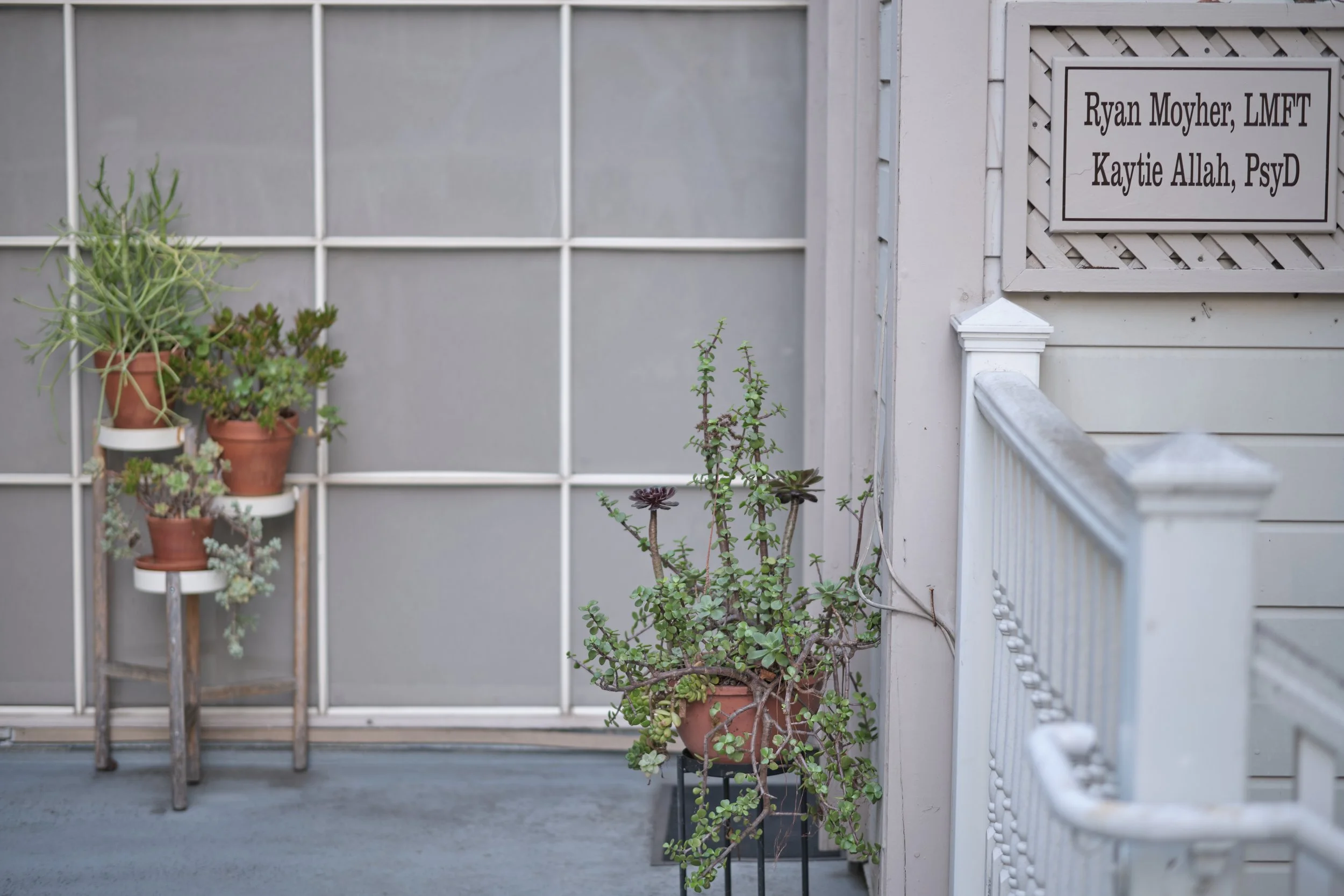 office shotsNov 15 2025 12.jpg