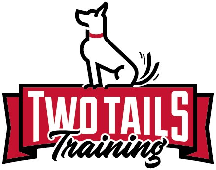 two tails dog walking