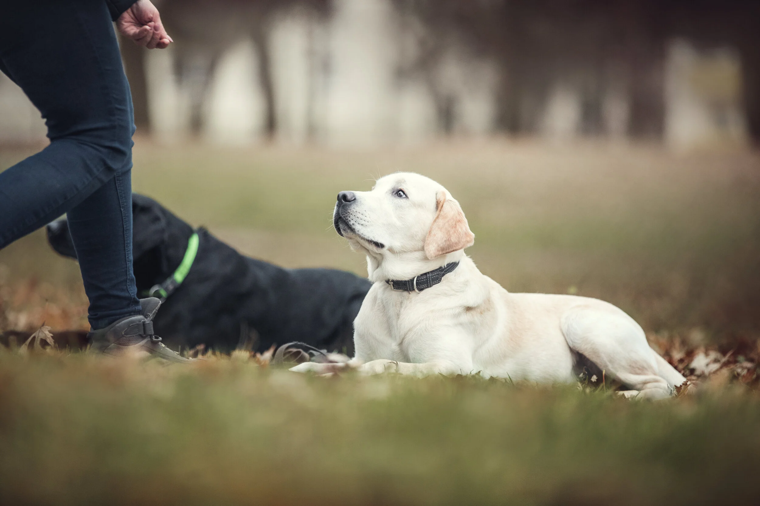 AdobeStock_306577349.jpeg