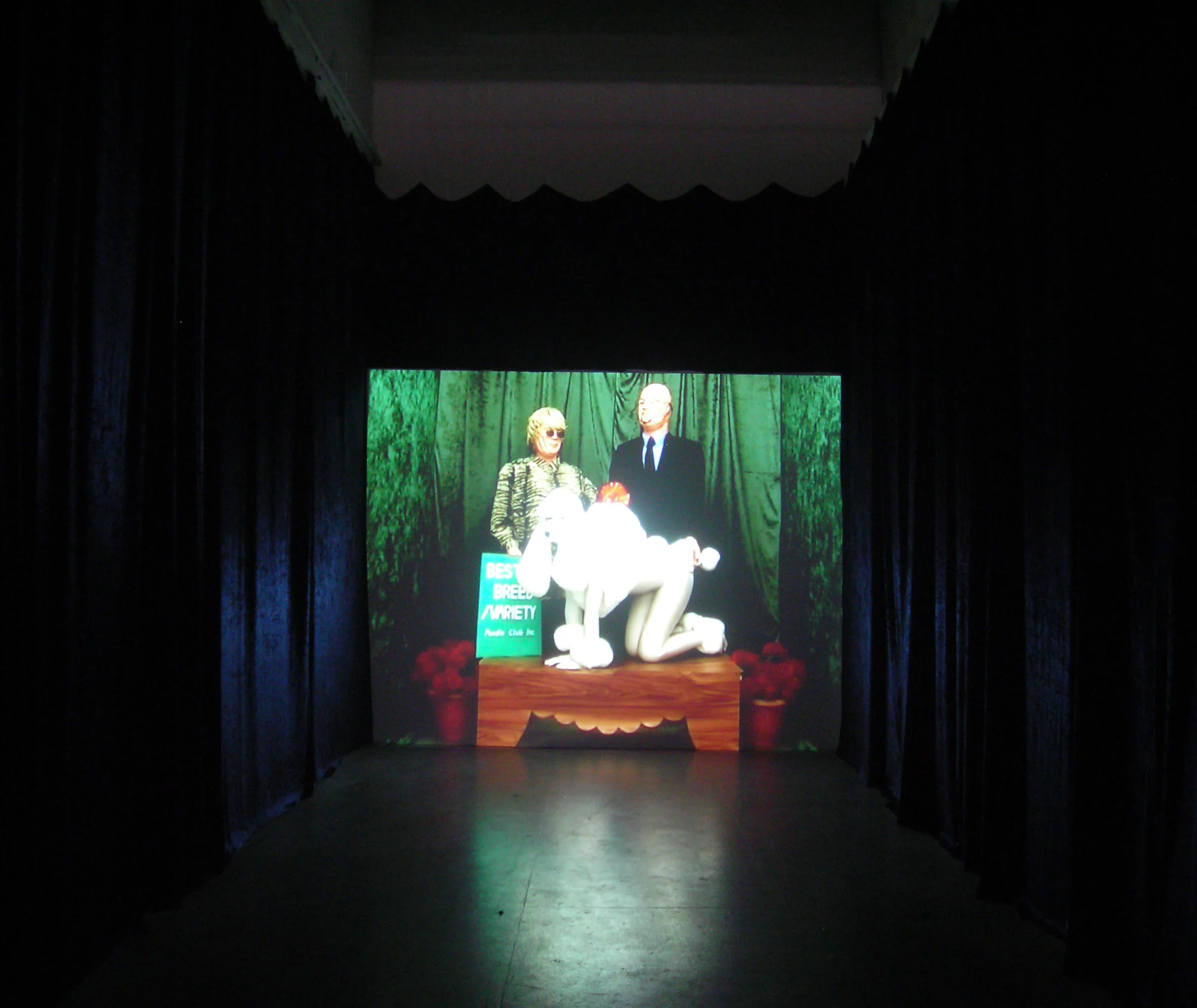 Installation at The Fridge Gallery, 2007 Southside Studios, Glasgow, UK