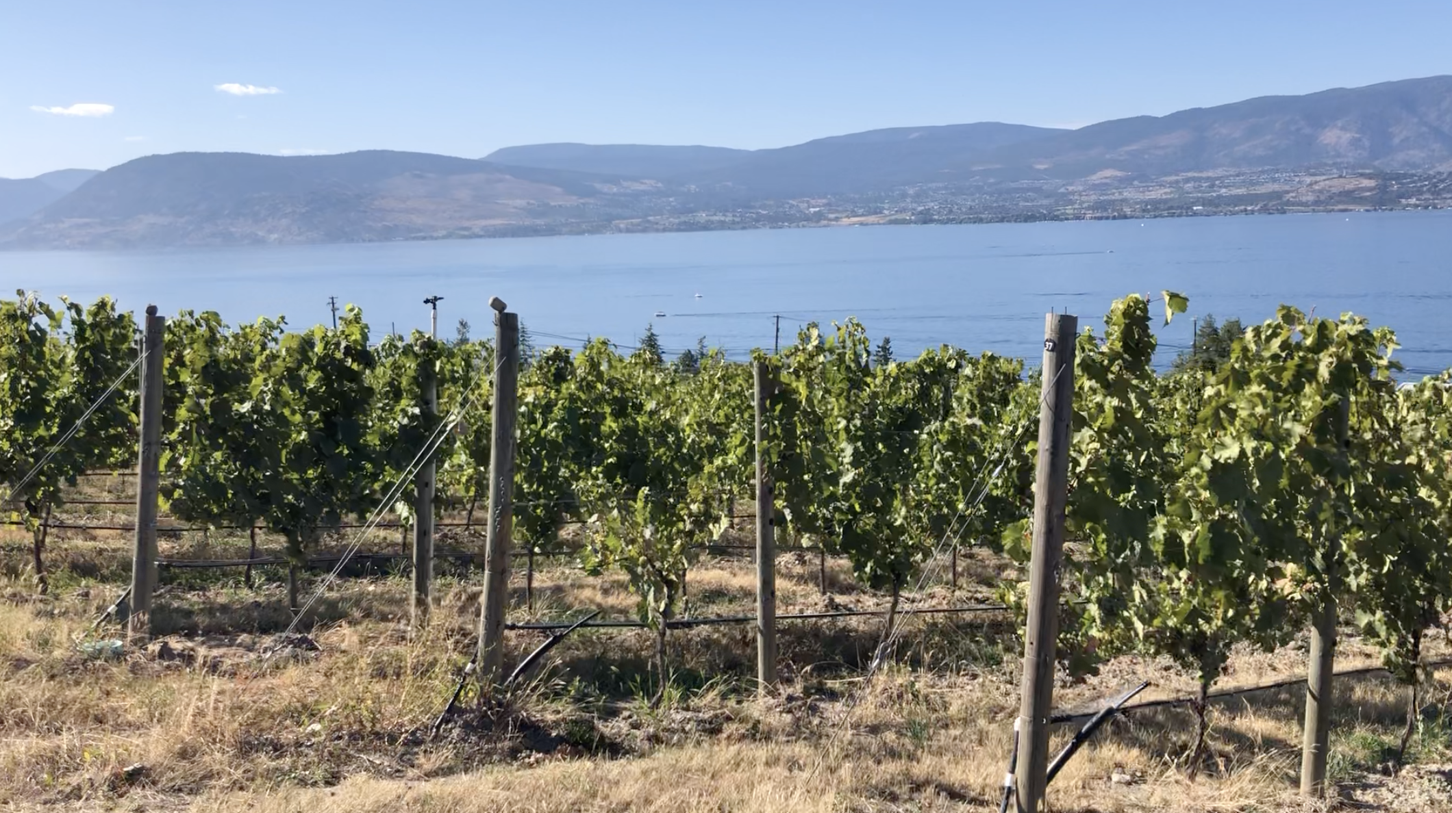 Cedar Creek - Renovated, Re-Opened and Refined