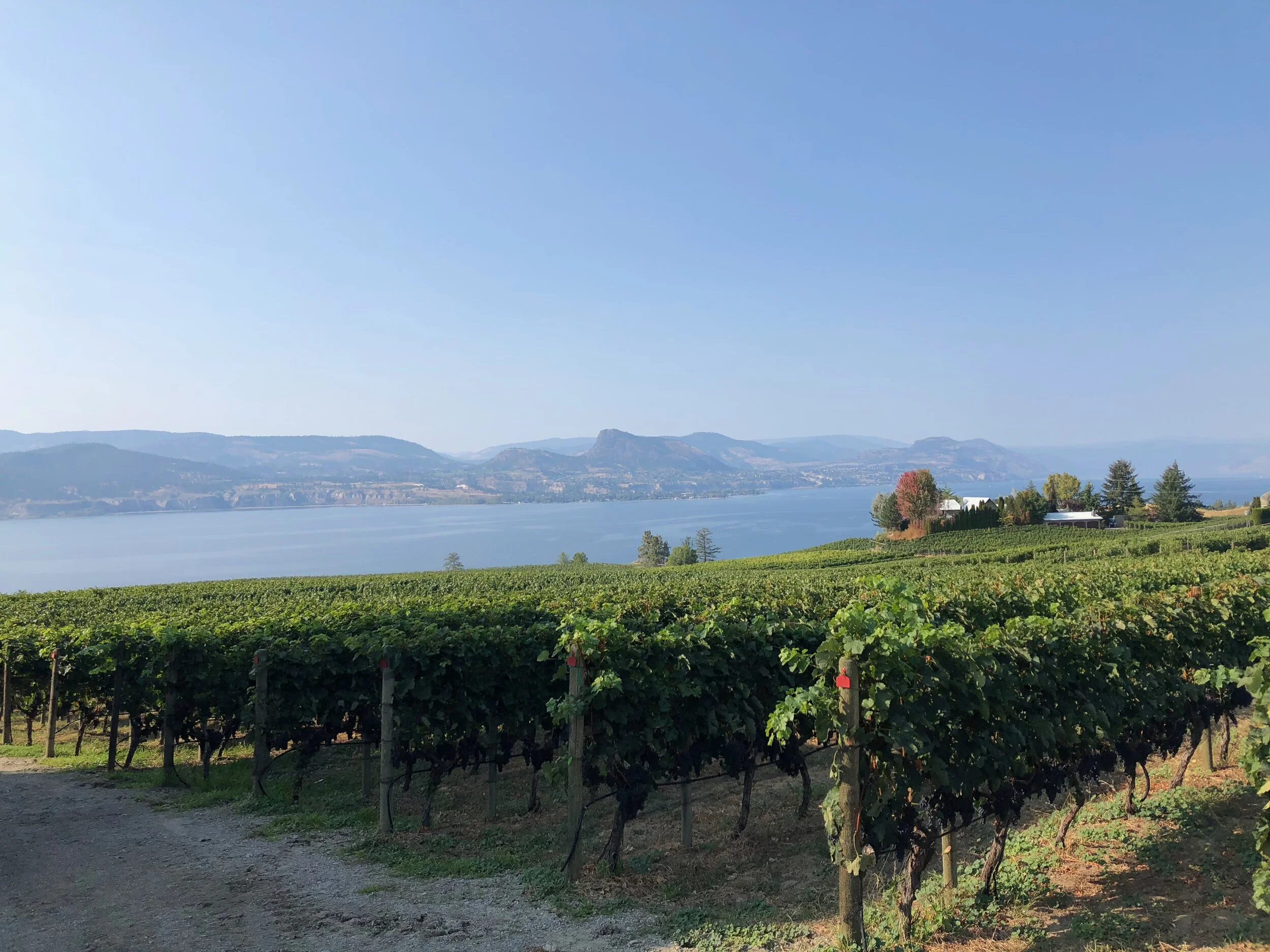 Two Whites, Two Rosés, and Two Reds.- and Wine Touring is Done for the Year!