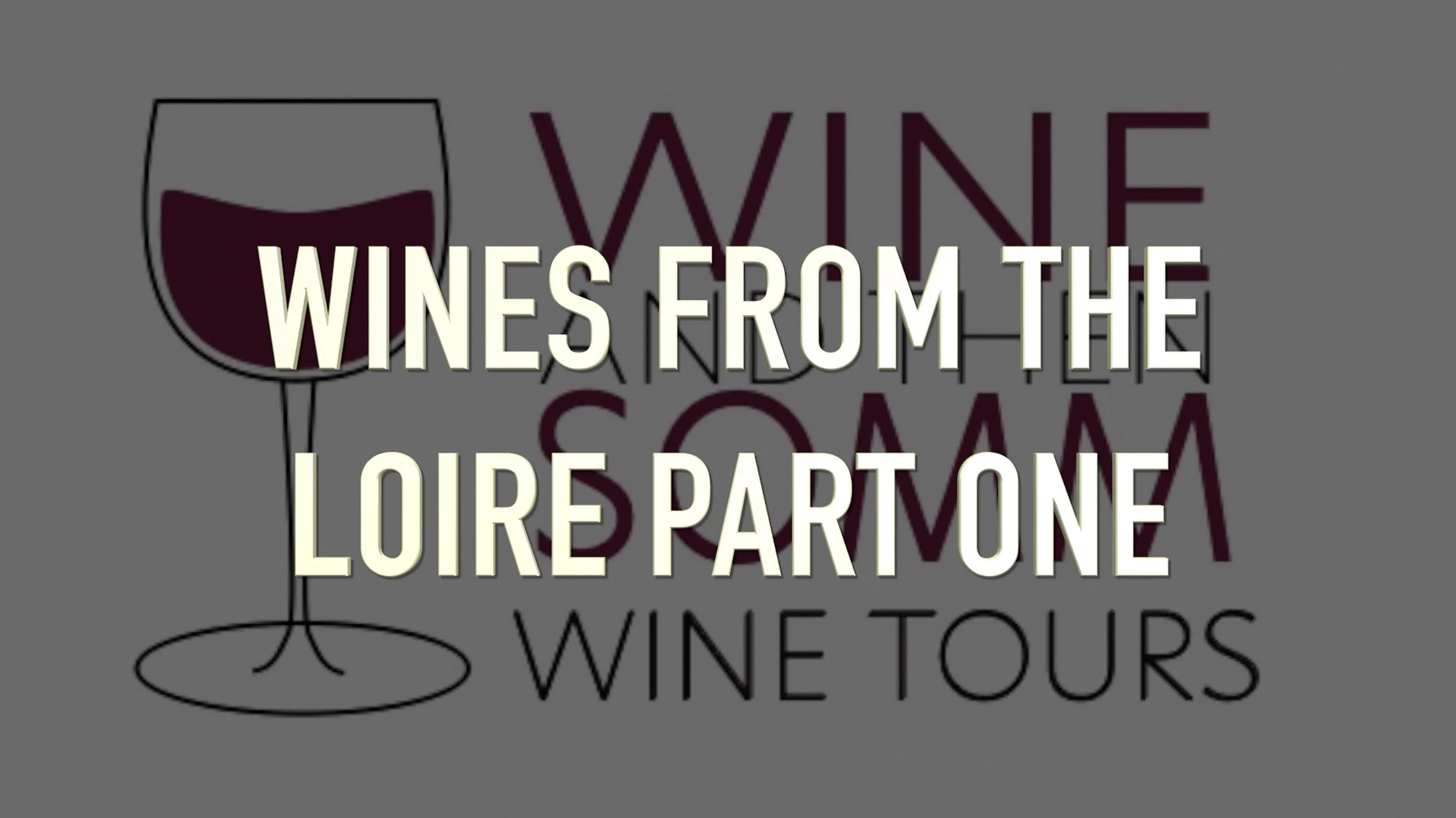 Time to Taste Wine! My first wine tasting video. The Loire Part 1.