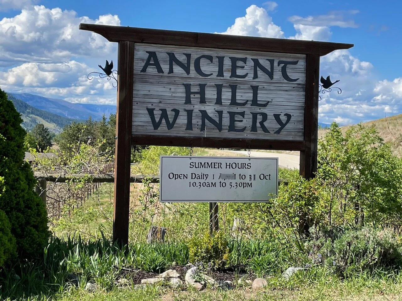 First Visit at Ancient Hill Estate Winery