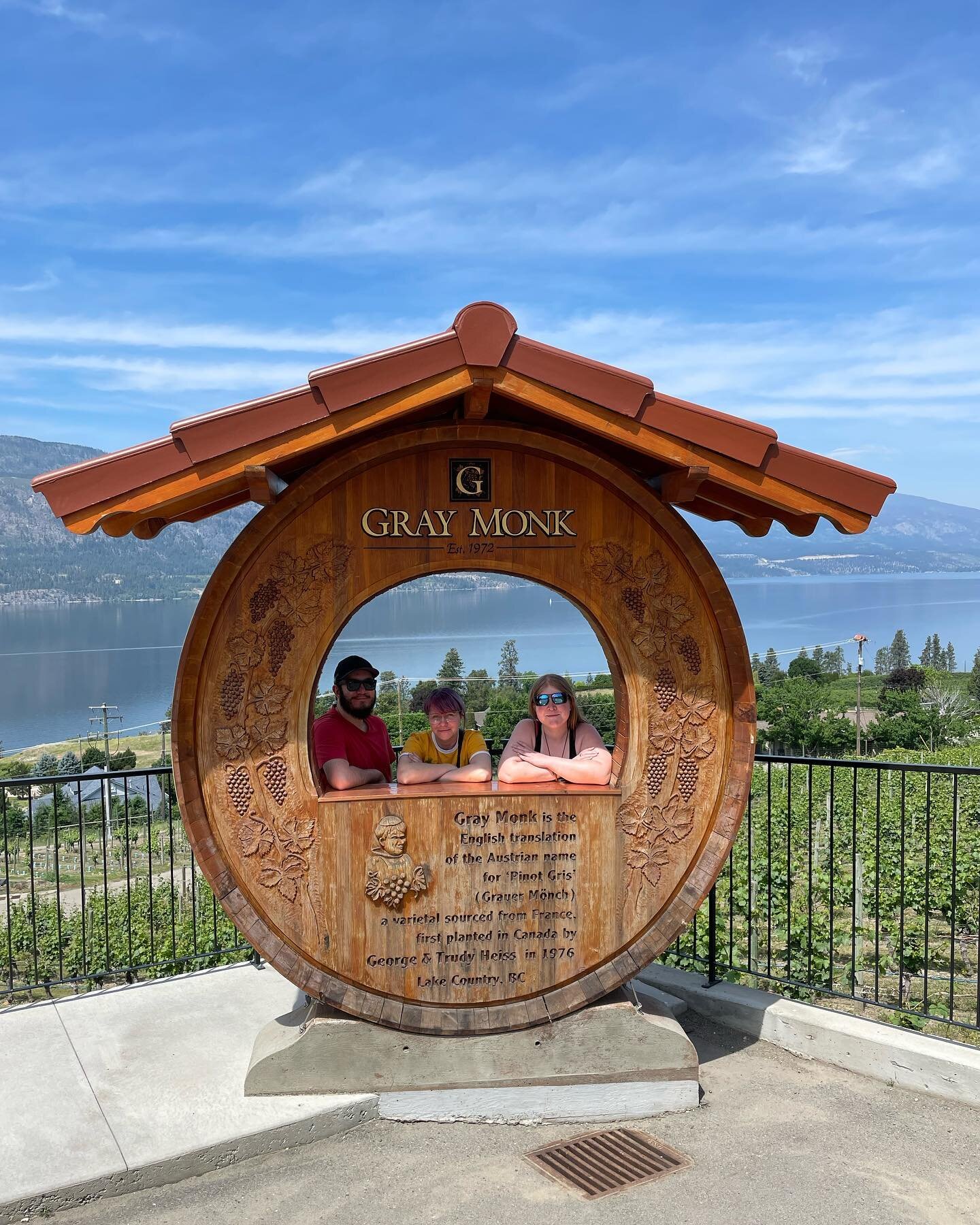 These video gamers were &lsquo;game&rsquo; for some great wine tasting on a recent wine tour to Lake Country and West Kelowna. What a fun day!! @graymonkwinery @arrowleafcellars @quailsgate @volcanichillswi @missionhillwinery