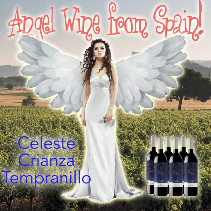This time we taste a Tempranillo from the Ribera del Duero in Spain. The Pago Del Cielo Celeste Crianza was aged for 12 months in oak and longer in the bottle. Pago Del Cielo means money from Heaven and this wine seems made by the angels! Click the B