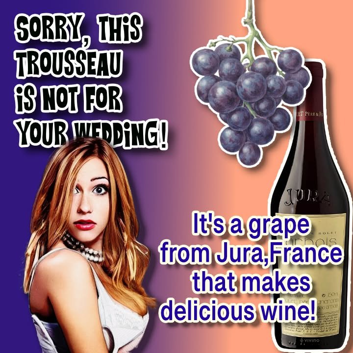 This time we enjoy some Trousseau - not the wedding thing but a grape from Jura, France! This is a wine area that does not get a lot of attention. Find out if this is one that you should try!

Click BIO LINK and choose YOUTUBE VIDEO! @domainerolet