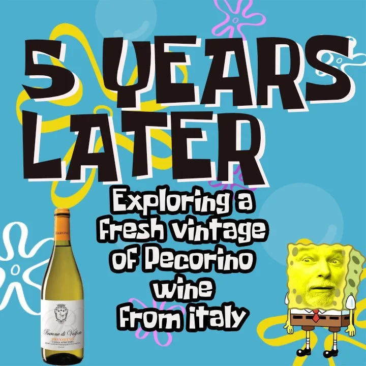 Time to Taste a White Wine from Italy

Five years later - I tasted this wine in 2021 and it was a solid wine. This time, I am tasting the same wine but a different vintage - did my previous positive review still hold? Watch the video and find out as 