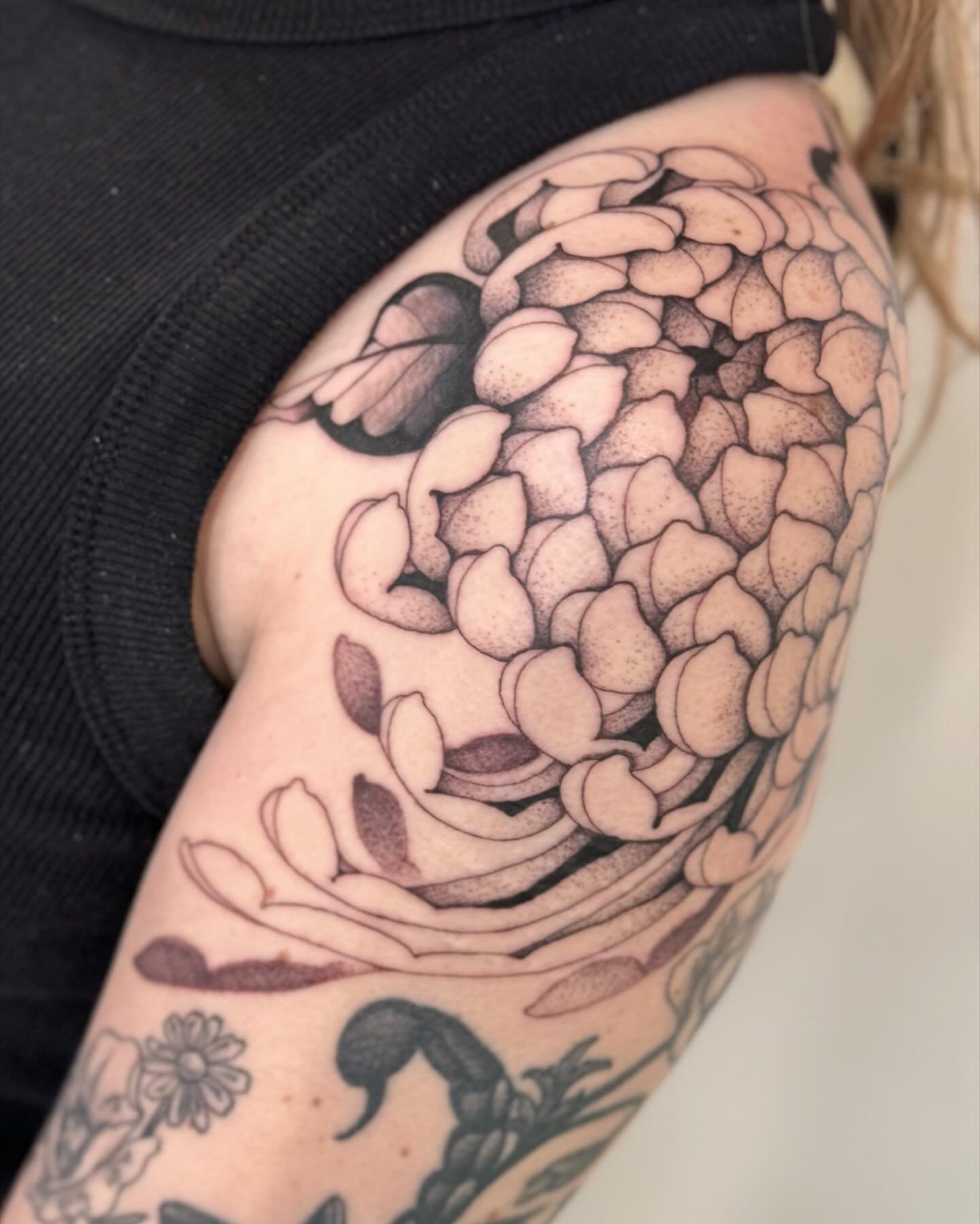 APRIL 2024, Fresh! I will always and forever want to make mums and peonies! 

▪️Made at @spottedpanthertattoo▪️
▪️Made with @sombragrays ▪️
______________________________________

▪️REQUEST LIST OPENING AUGUST 3 2025!▪️
▪️Read FAQs and BOOKING highli