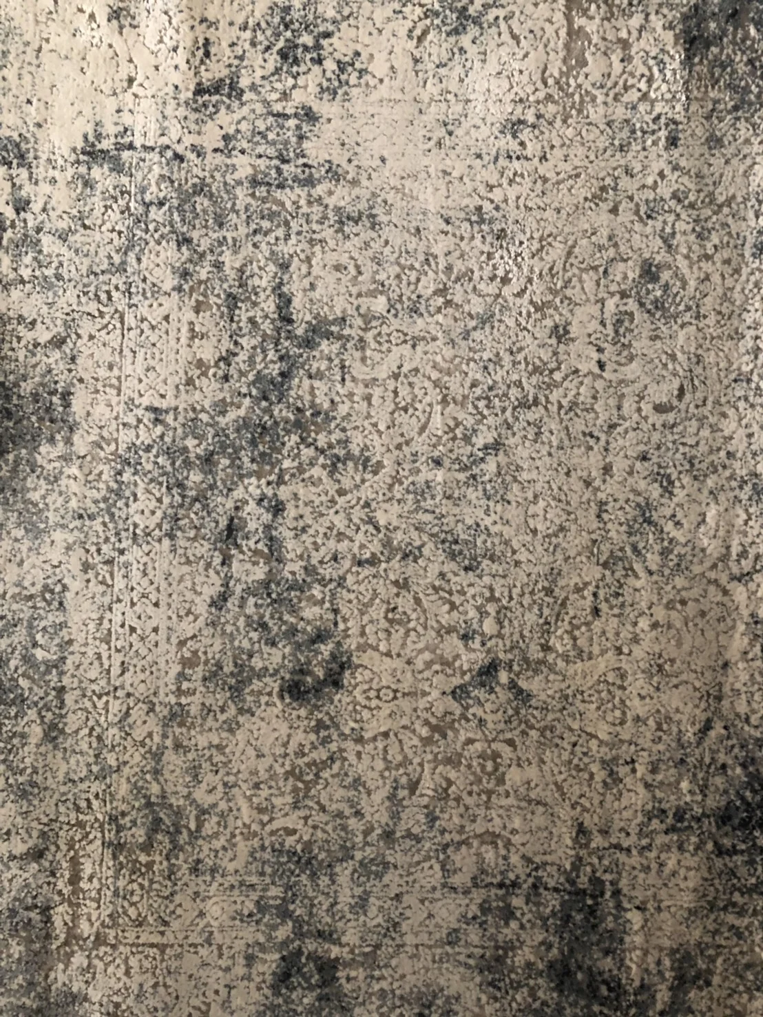 S__29540394.jpg