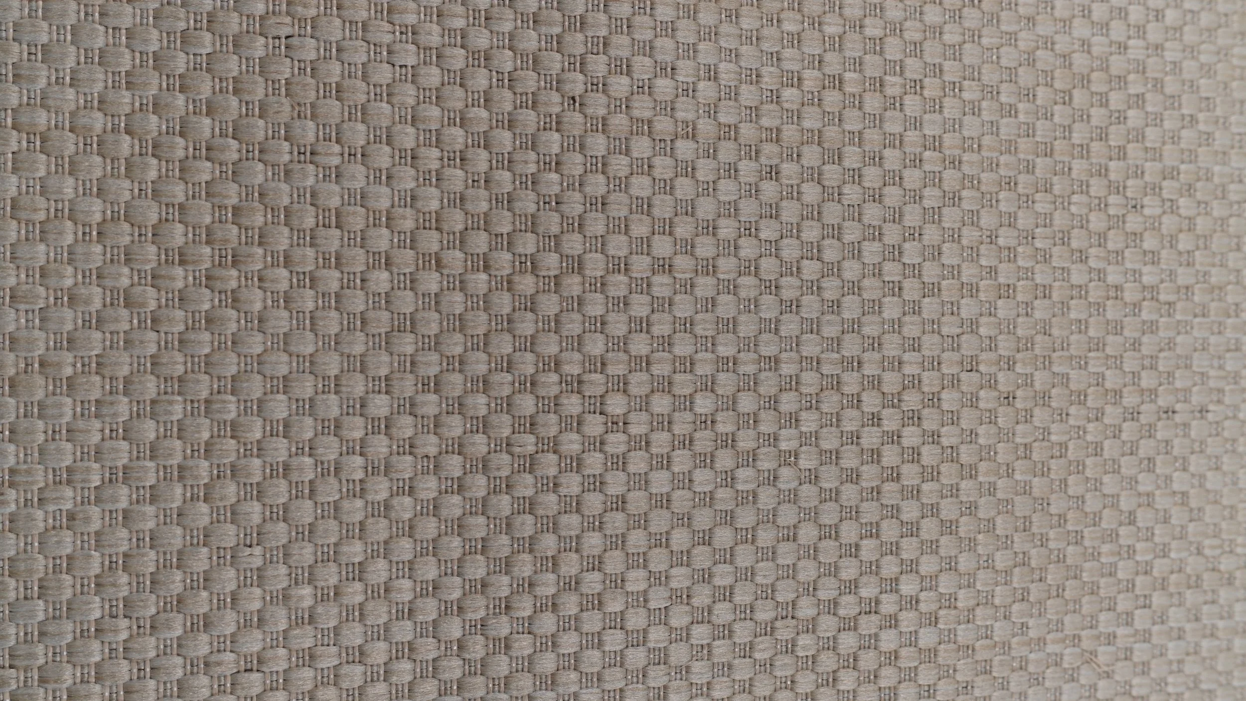 Broadloom - 60048 - Champ