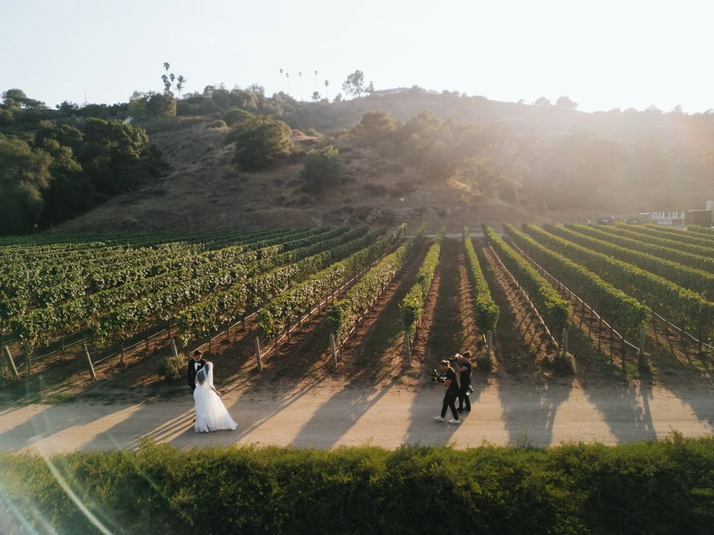 @aarencadieux + I back in August capturing B+ A&rsquo;s wedding. 👏🏽

Venue: @monseratewineryweddings
Planner: @tiffany_everlyandco  @everly_andco
Florist: @lovelypeoniesflorals
Photography: @aarencadieux
Videography: @mjpcinema
DJ: @ExtremeDJServic