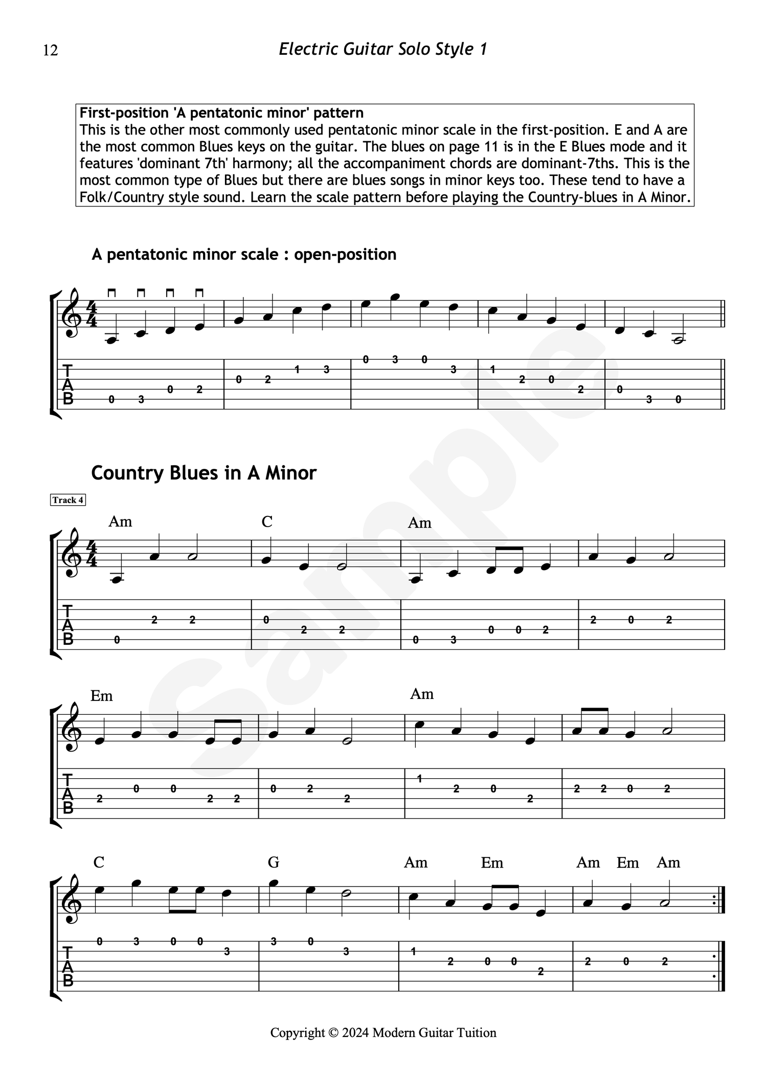 Guatar Notes.pdf Electric Guitar Solo Style 1 - Beginner PDF Ebook | Modern Guitar Tuition