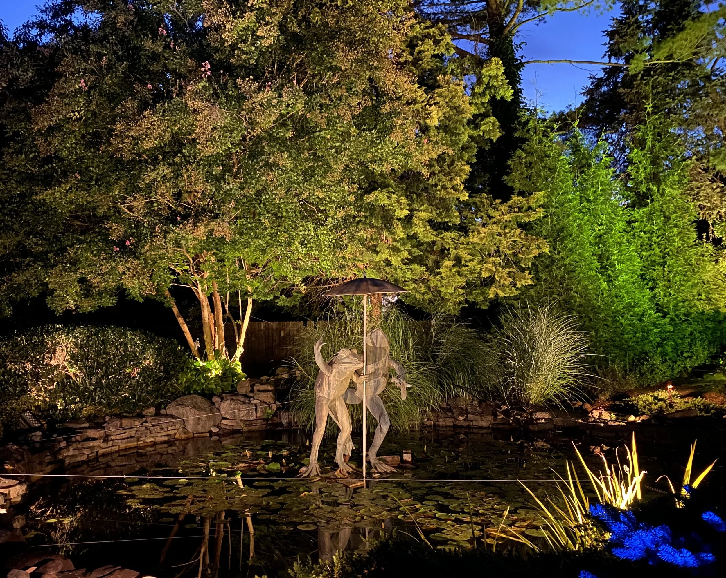 Pond Frog.jpg