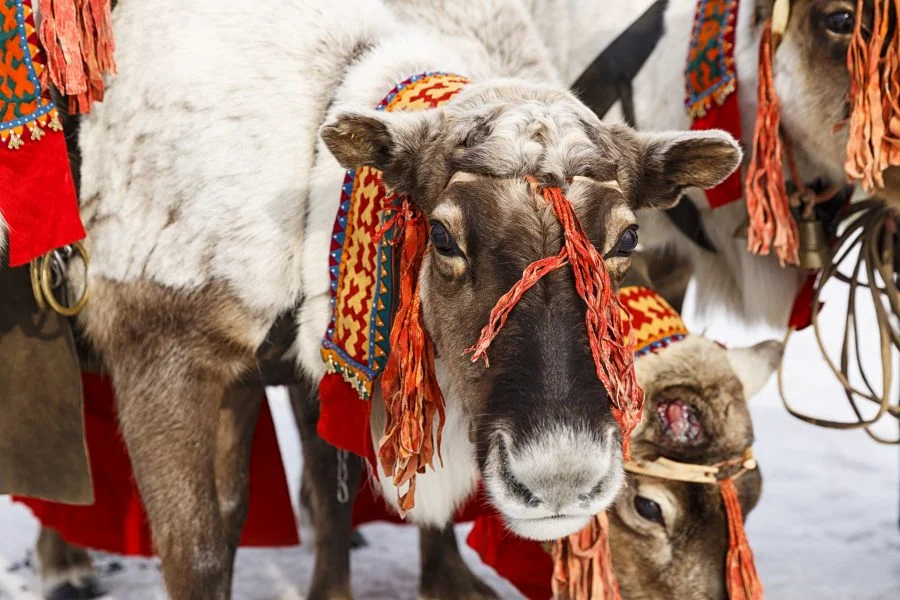 Interesting Places to Spend Christmas