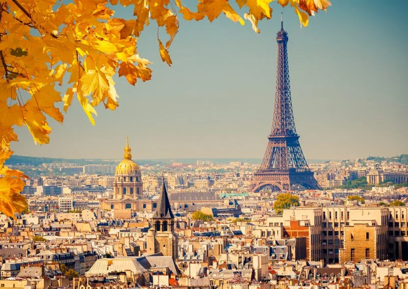 Experience Paris Like a Local