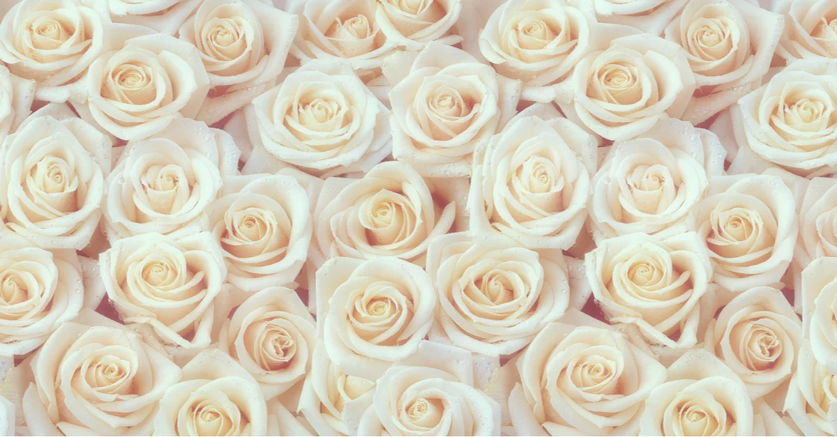 PSA: We've Found Fresh Roses That Last up to a Year