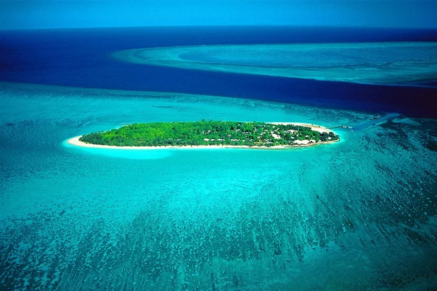 heron-island.jpg
