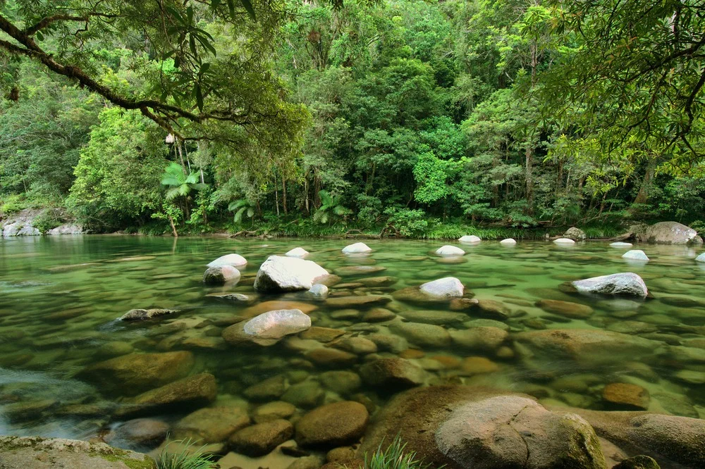 Mossman River, Daintree Rainforest