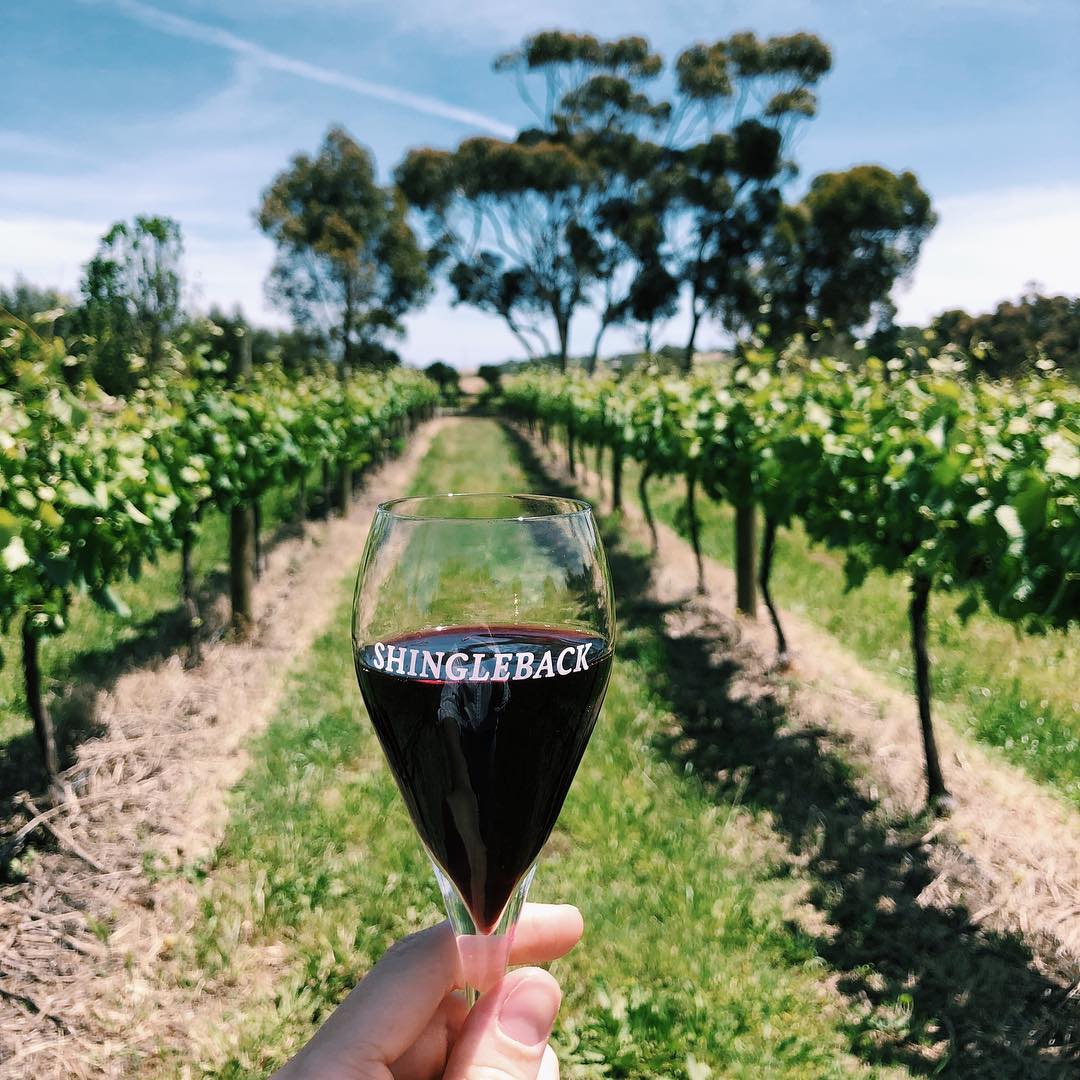 Image credit: @ shinglebackwine /Instagram