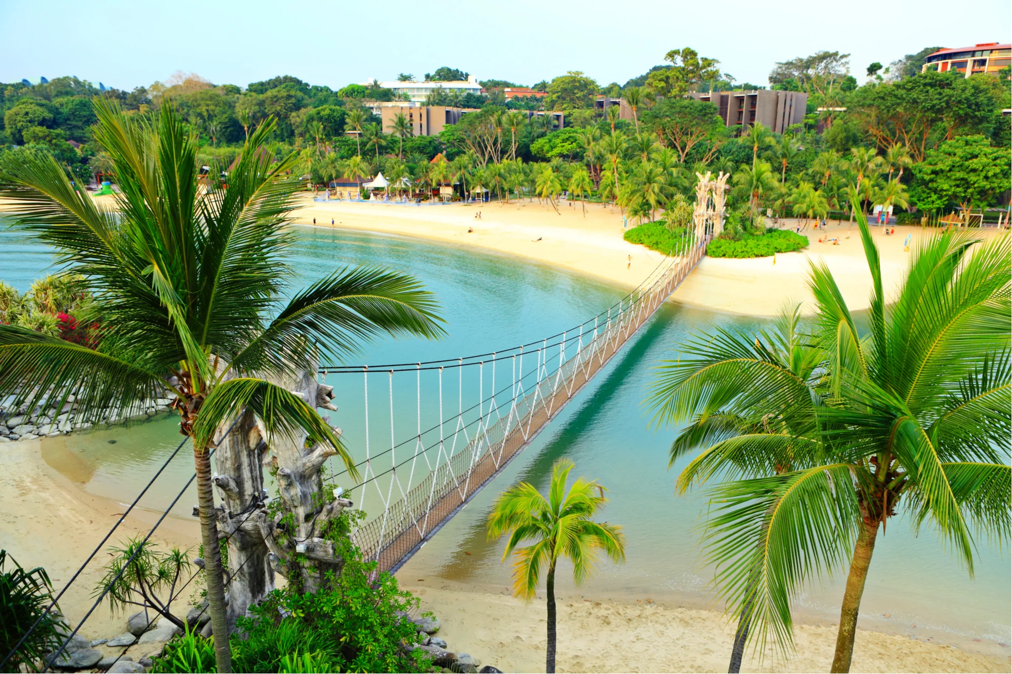 A beautiful lagoon surrounded by palm trees with a rope bridge crossing the water on Sentosa Island