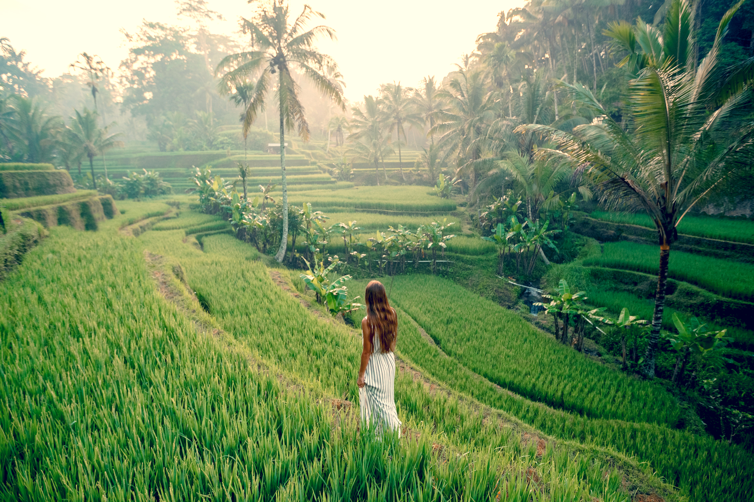 The Ultimate First Timer's Guide To Bali