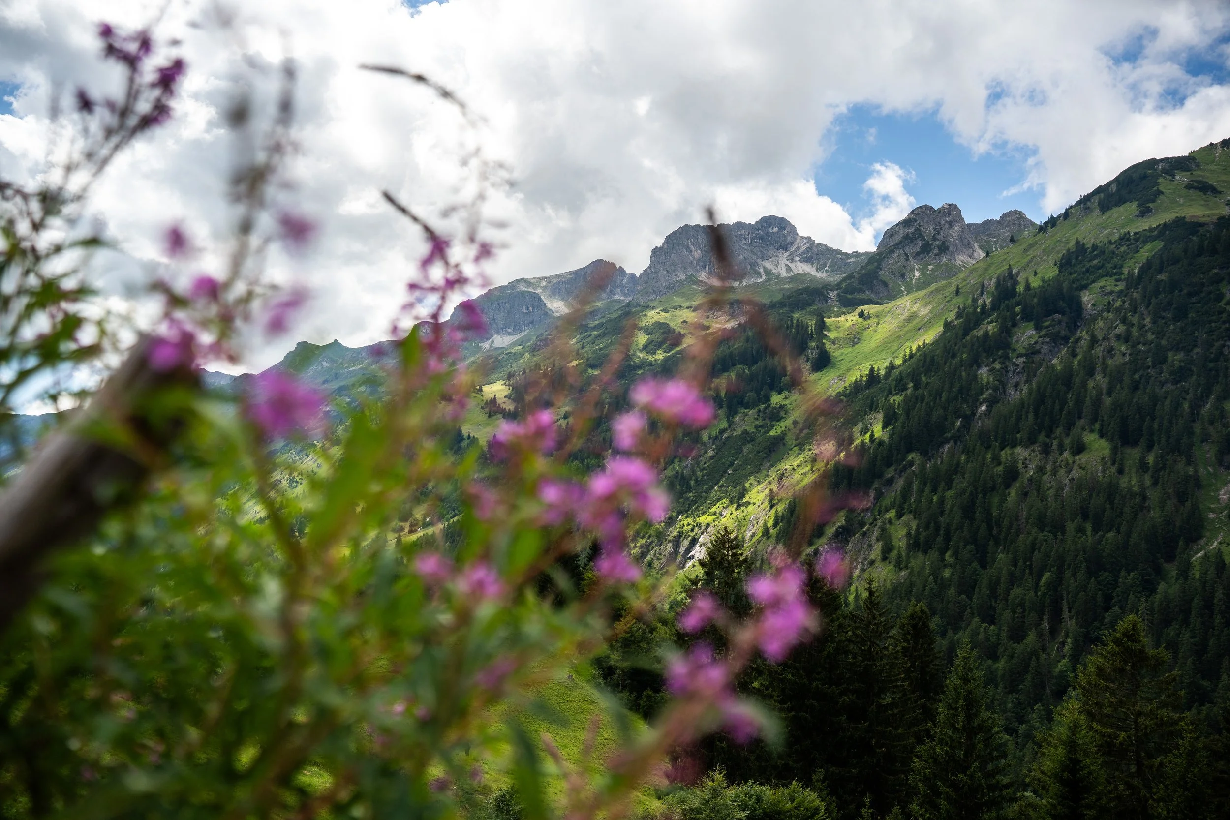 DSC03136-2.jpg