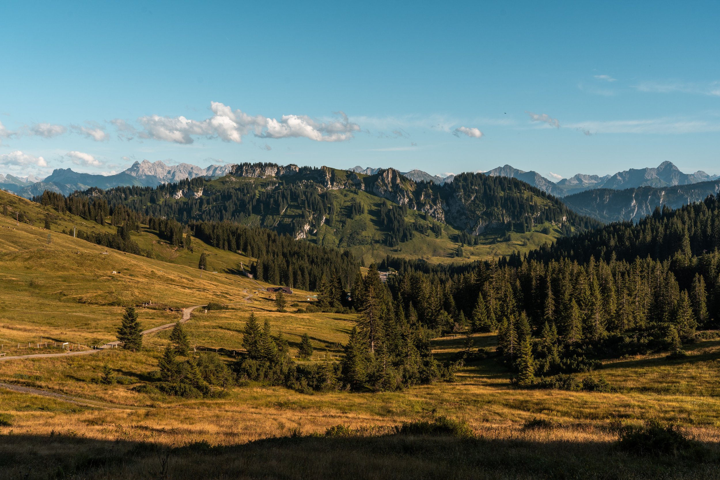 DSC03256-2.jpg