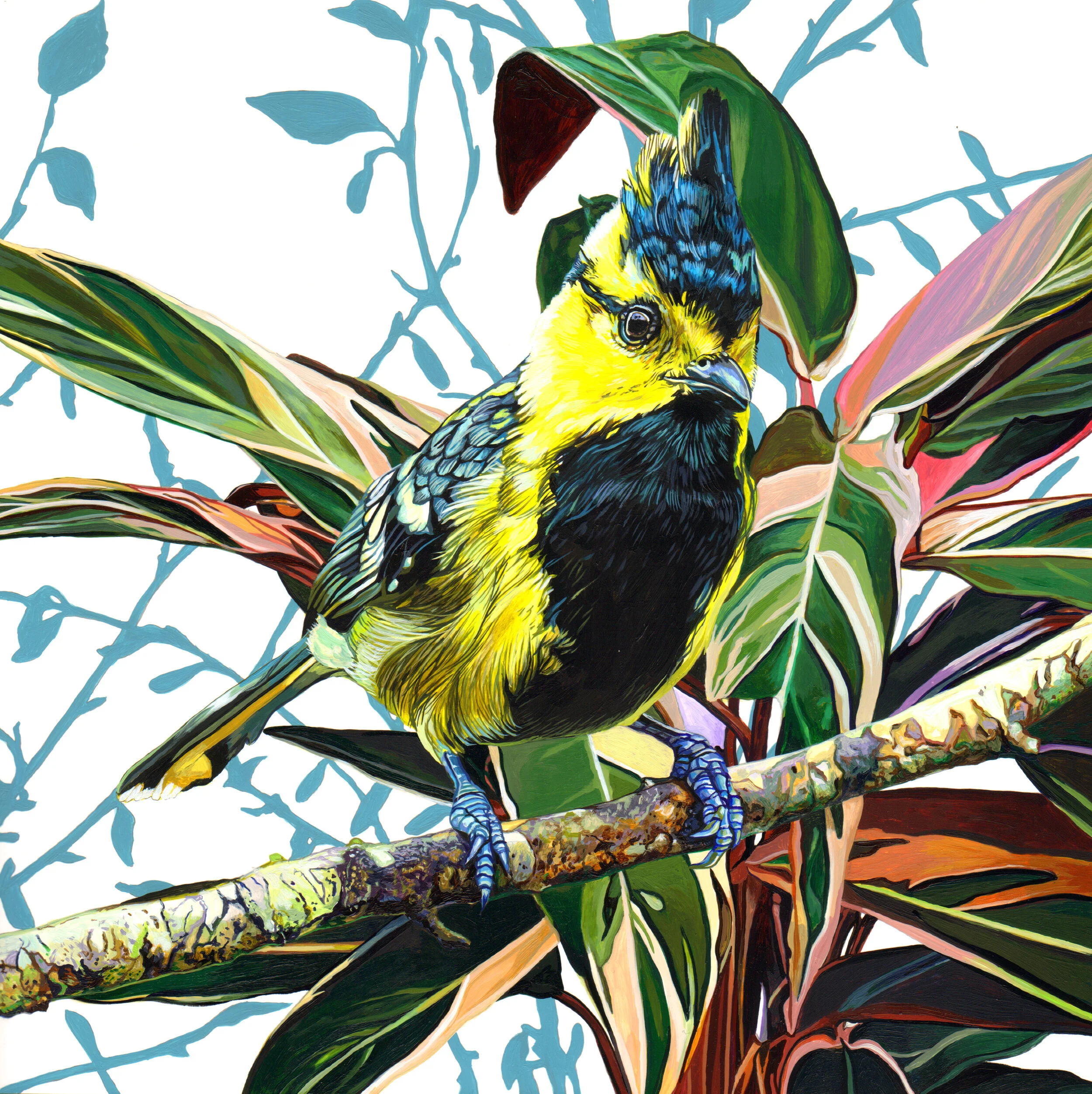 Endangered_Bird_178_copy.jpg