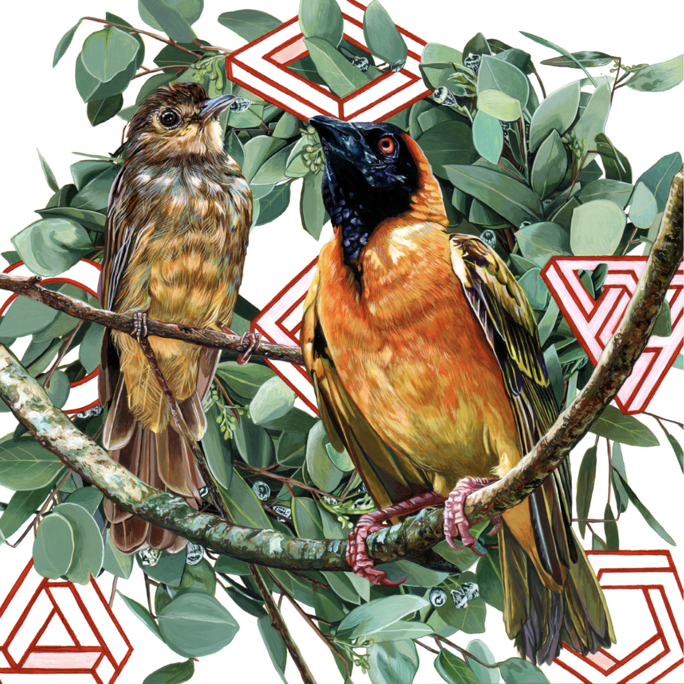 Endangered Birds #171.png
