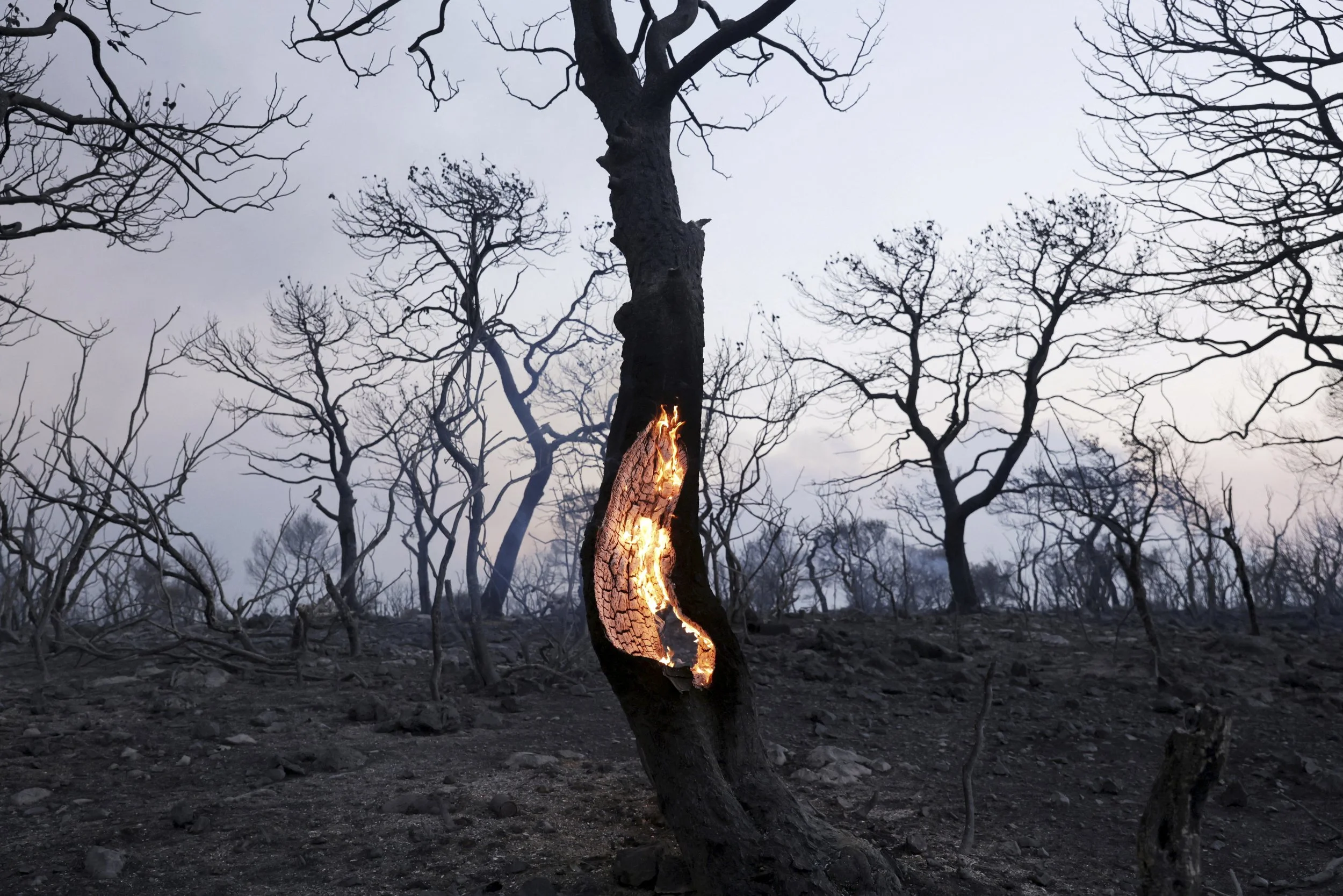 LV_Wildfires_01.jpg