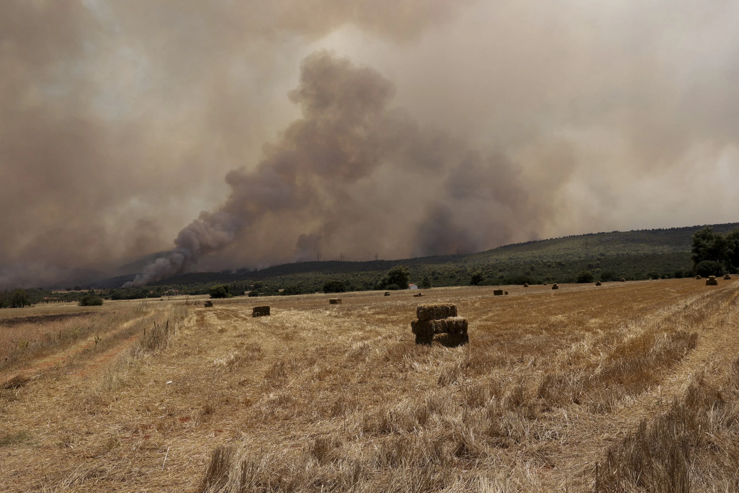 LV_Wildfires_08.jpg