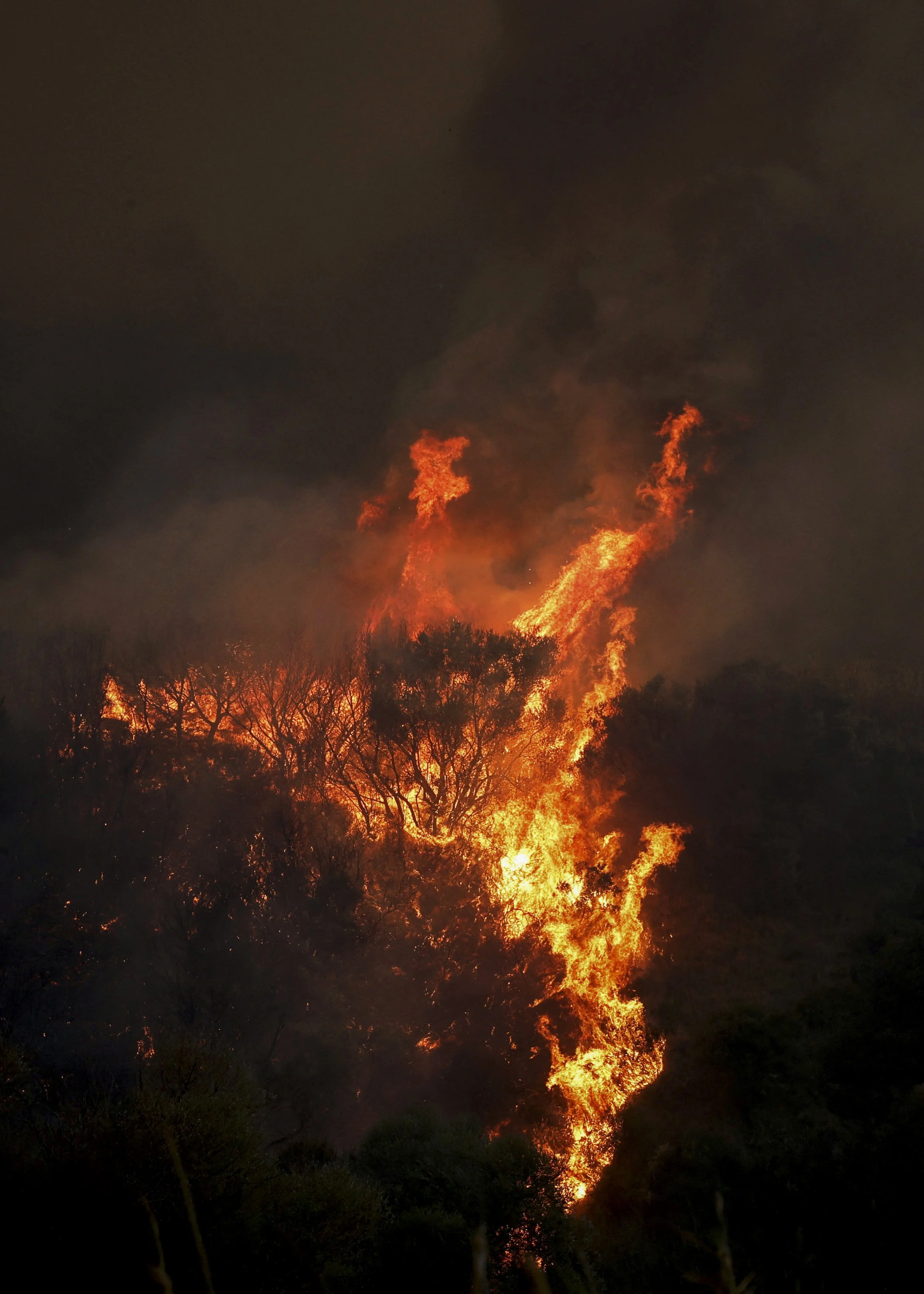 LV_Wildfires_14-.jpg