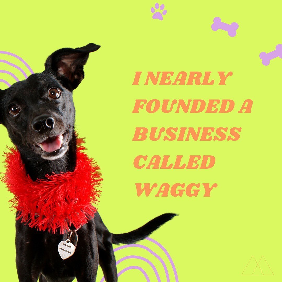 Fun fact&hellip; 6 years ago I nearly founded a business called Waggy. It was an app for dog lovers and it was actually a pretty cool idea 😂. I wrote the pitch deck, contacted investors, I finalised the revenue streams and started the branding proce