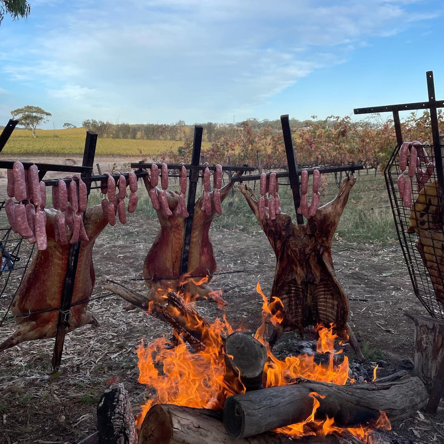 Asado and ales! Throwing it back to our roaring @tastingaustralia feast for @swellbeer against the stunning golden backdrop of freshly picked McLaren Vale vines🔥🍺🔥

#asado #argentinianbbq #mclarenvale #argieasado #swellbeer #choripan