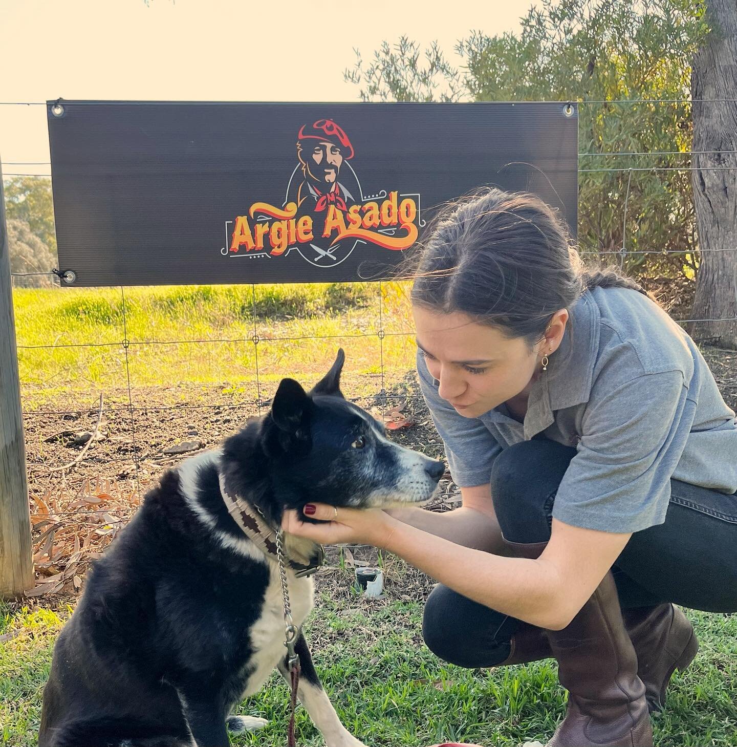 Fire Dog - our most important team member reporting for duty!