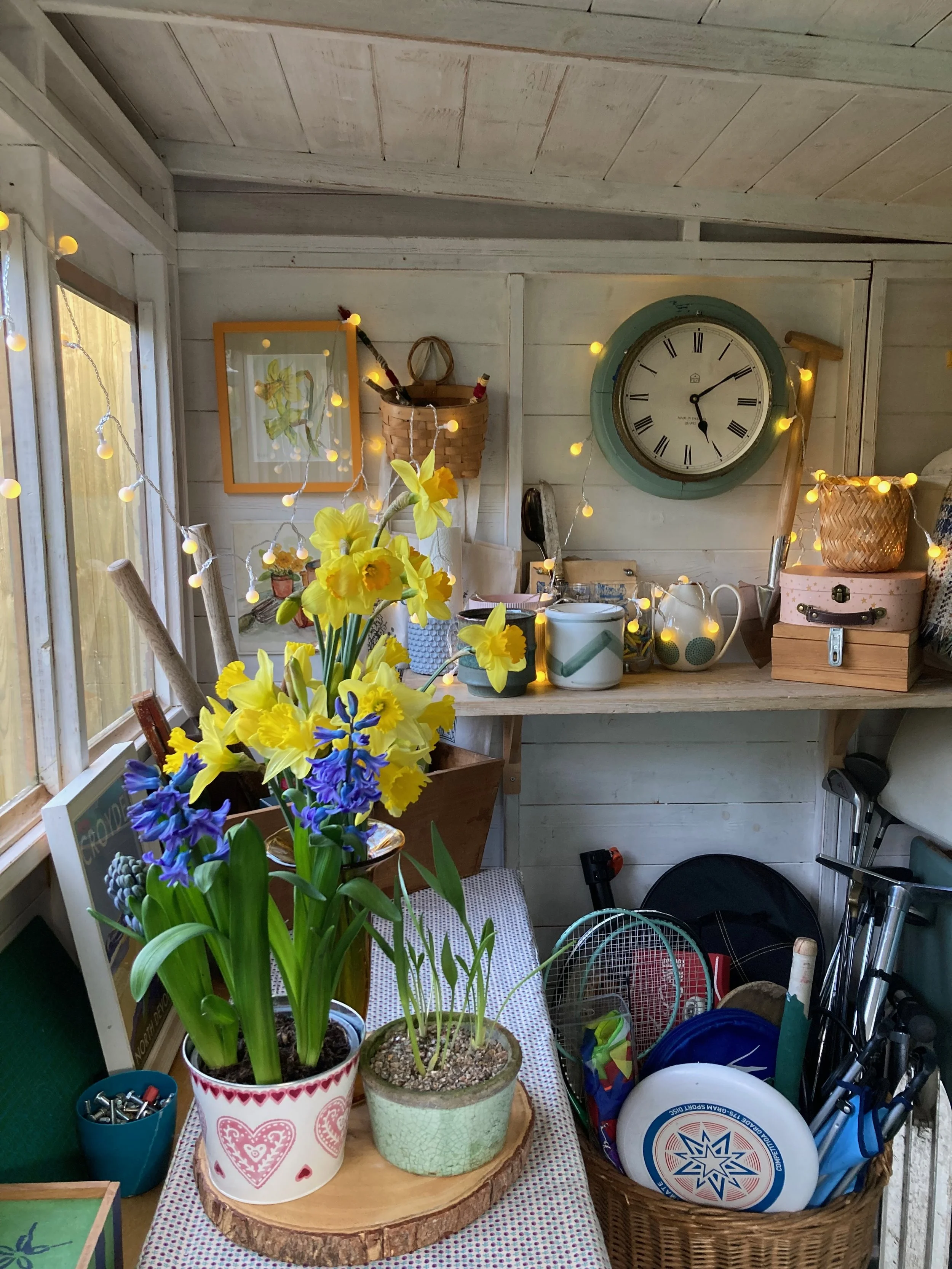 Spring daffodils on a workbench in a shed and basket full of sports equipment