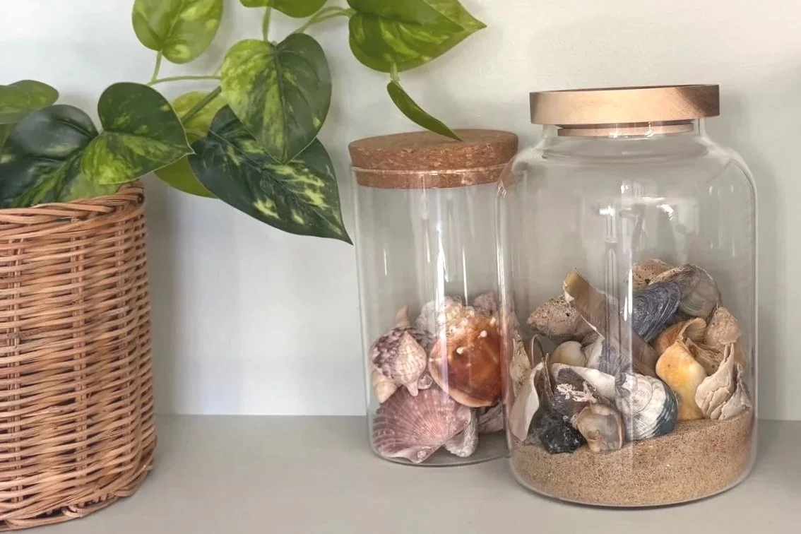 Glass jars of shells and sand and a plant on a shelf