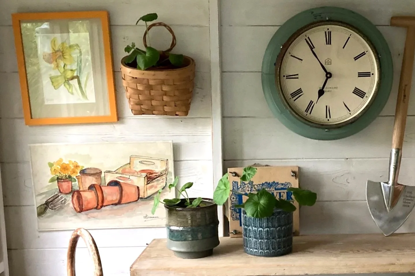 Shelf in shed with plants and a spade and a clock hanging on the white shed wall