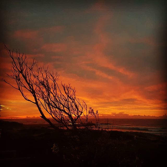 Great start to the day #sunrise🌅 #northernbeaches