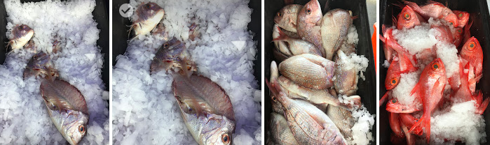 Screen Shot 2020-05-29 at 12.24.52 AM.png